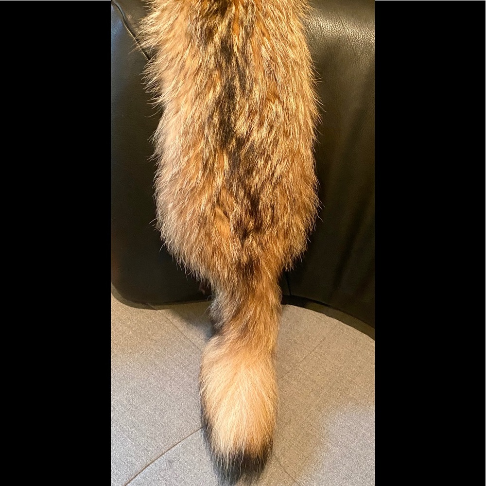 COPY - FUR COLLAR / SCARF